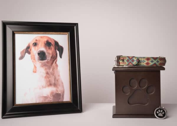 A boxed pet urn with a dog picture